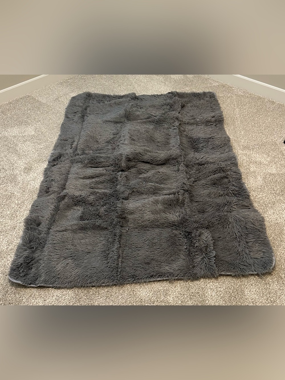4x6 fluffy and soft gray area rug